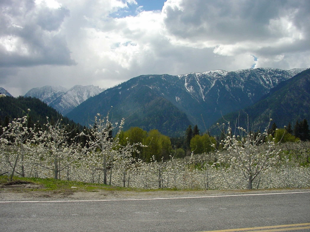 stevens pass greenway peshastin orchards 957a6b 1024